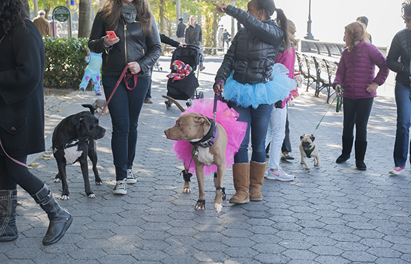 Battery Park City
