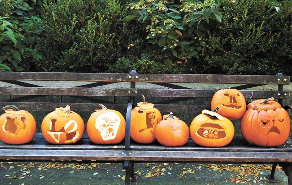 Photo by Dottie Francoeur  Jack (second from right) on a park bench, with friends, waiting to become compost. 