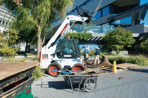 Downtown Express photos by Terese Loeb Kreuzer Battery Park City Parks Conservancy workers on Oct. 21 removed a tree stump near the Museum of Jewish Heritage from a tree destroyed by Superstorm Sandy. 