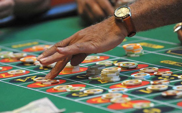 casino-bus,-photo