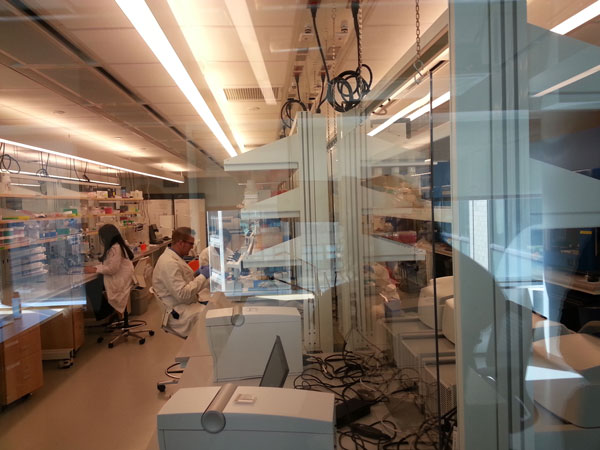 Genome center becomes part of Downtown’s DNA 1 Downtown Express photo by Heather Dubin Lab workers at the New York Genome Center work behind glass doors to keep their area pristine.