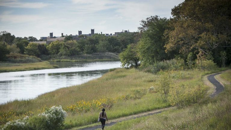 A verdant view of Castle Hill Park.