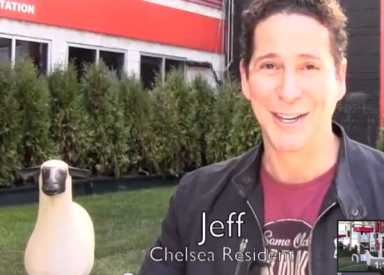 jeffchelsea