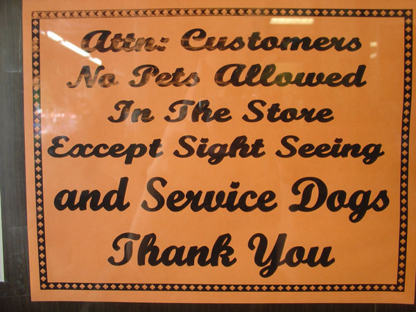 photo,-sight-seeing-dogs