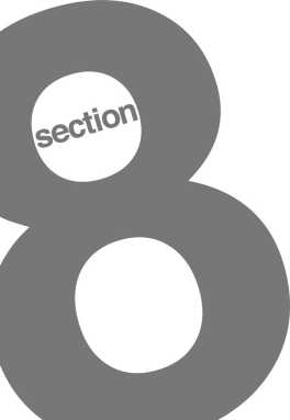 section 8