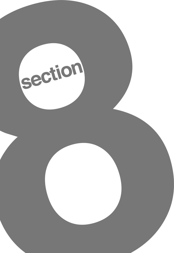 section 8