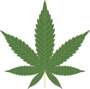 marijuana-300×297