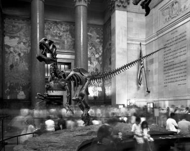 MP_020_dinosaur_coming_life