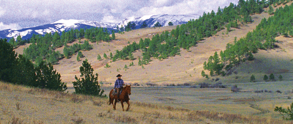 Photo by Joe Anderson Harry Dean Stanton narrates an unsentimental account of Montana cowboy life, in “Fishtail.” 