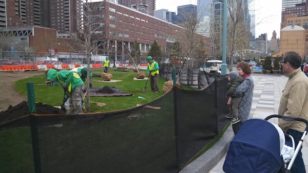 Workers planting trees April 29 near  Tribeca's Pier 26. Downtown Express photo by Josh Rogers.