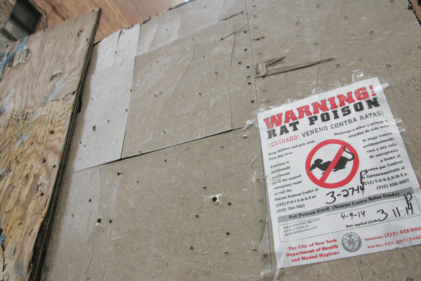 City confirms: Tribeca is a rat race 1 Downtown Express photo by Sam Spokony The front of the 403 Greenwich St. lot.