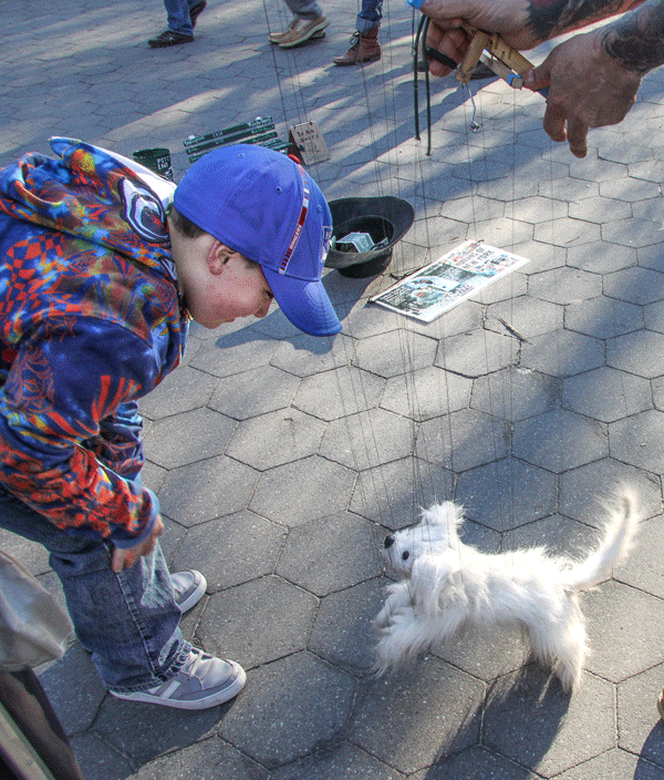 Wag the dog: Puppy puppet is a hit 1 Photo by Tequila Minsky