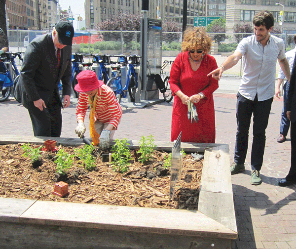 Planting at the press conference, from left, Bill Castro, Parks borough commissioner; Councilmember Margaret Chin; and BID Director Ellen Baer got some pointers from artist Juanli Carrion.  Photo by Sergei Klebnikov