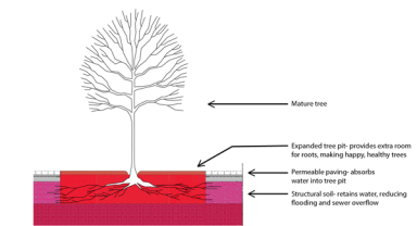 tree-diagram