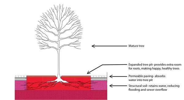 tree-diagram