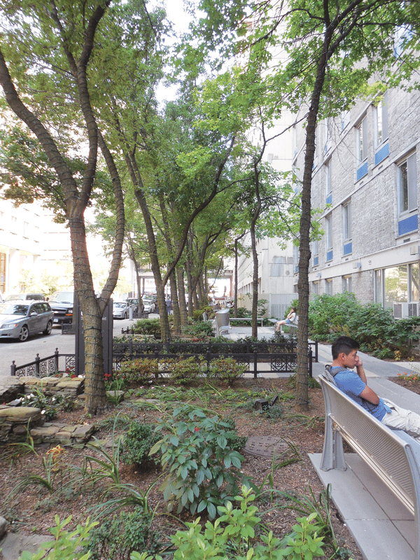  Comfortable seats, soothing greenery and shade can be found in front of various Fashion Institute of Technology halls (W. 27 St., btw. Seventh & Eighth Aves.).