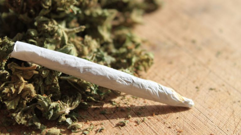 marijuana pot weed istock