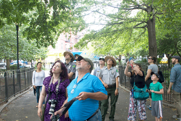Blogger Laura Goggin, at left in purple dress, and park rangers, along with other hawk watchers and parkgoers, watch one of the juvenile red-tailed hawks.   Photo by Zach Williams