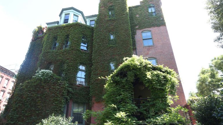 The treehouse in the Ave. B/C Garden. 
