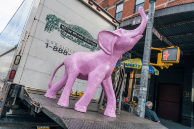 milo,-pinkelephant