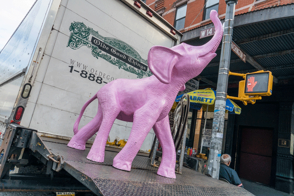 milo,-pinkelephant