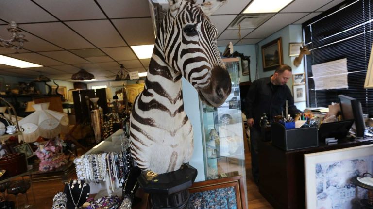 Antique Raiders and Traders at 93 Main street In Tottenville, Staten Island, Wednesday, Oct. 15, 2014.