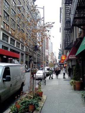 Dec4_100_25thSt