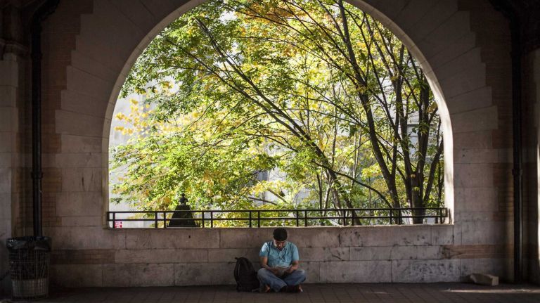 At man reads in the pavilion in Columbus Park in Chinatown in Manhattan, on Nov. 4, 2014.