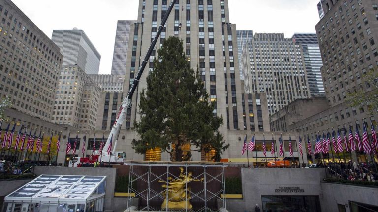 The 2014 Rockefeller Center Christmas Tree is set in place on Nov. 7, 2014. 