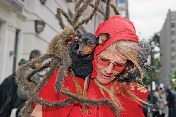 parade,-spider