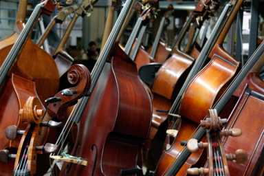Basses-at-David-Gage