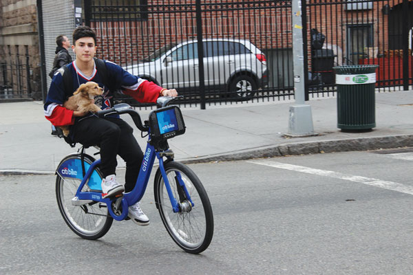 CitiBike users, like this cyclist in the Village near Bliss’s the HUB store, enjoy the convenience and affordability of the new bike-sharing program.  Photos by Tequila Minsky