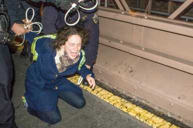 garner, bklyn br arrest