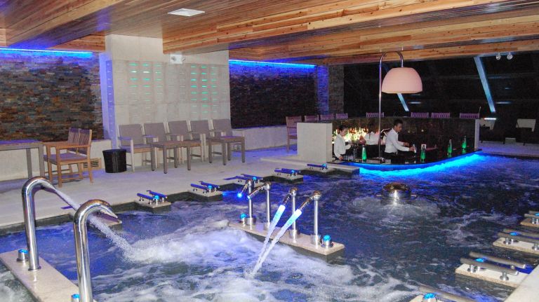 The indoor bade pool is the heart of Premier 57 Spa. It features a standing neck shower, hydro jets, floating jets and bubble seats at the swim-up bar. 