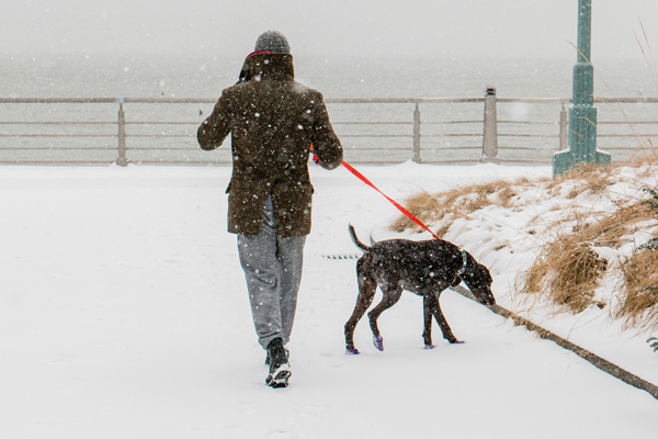 Scenes from a blizzard that wasn’t 4 Downtown Express photos by Milo Hess