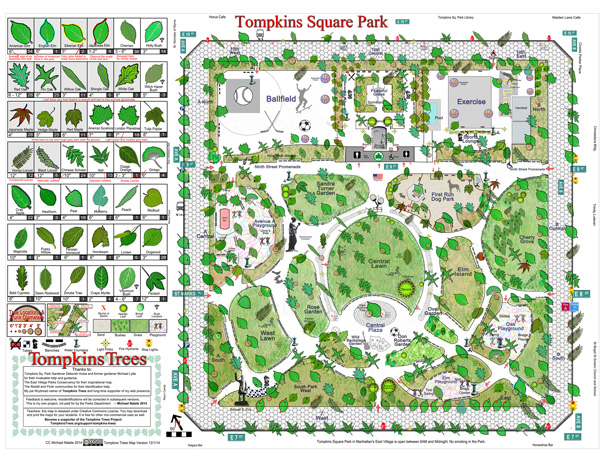 Michael Natale’s Tompkins tree map uses leaf shapes as symbols to represent the park’s different tree species.