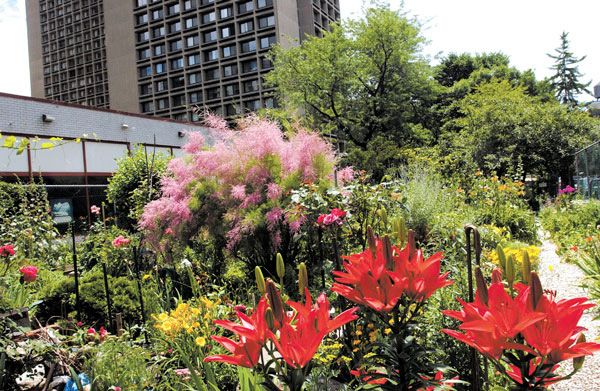 A State Supreme Court justice and the Appellate Division’s First Department have issued conflicting opinions on whether the LaGuardia Corner Gardens — which have been flourishing along a strip of city-owned land on LaGuardia Place at Bleecker St. since 1981 — are implied parkland.  File photo by Elisabeth Robert