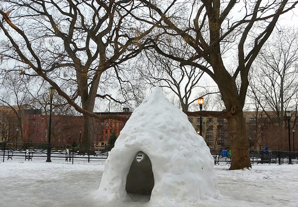 An igloo in Tompkins Square Park, with the Krishna Tree behind it on the left and the Scholar Tree on the right.  Photo by Michael Natale