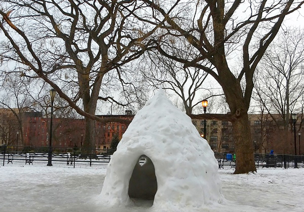 Four years in the making, new Tompkins trees map leaves no leaf unturned 2 An igloo in Tompkins Square Park, with the Krishna Tree behind it on the left and the Scholar Tree on the right. Photo by Michael Natale