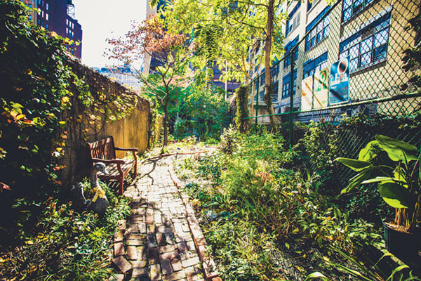 Spring: It's Inevitable! 1 Courtesy of Clinton Housing Development Company