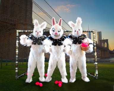 March26_Bunny_3Bunny