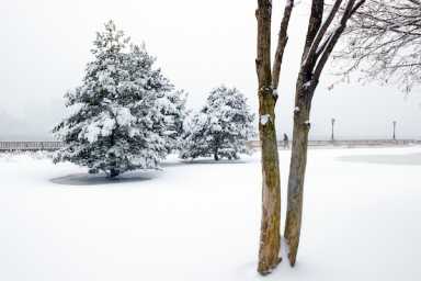 almostspringsnow4