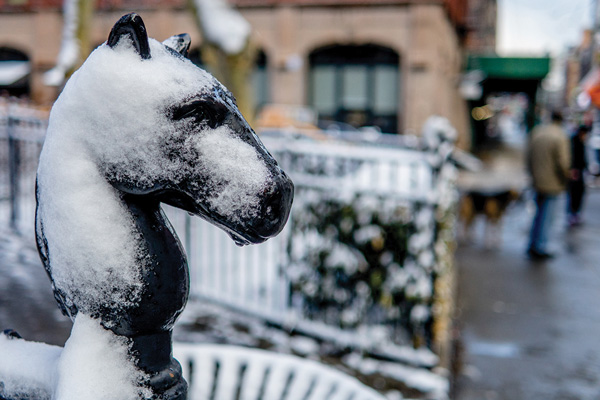 Nay! Just can’t shake off this snowy winter 6 Photos by Milo Hess