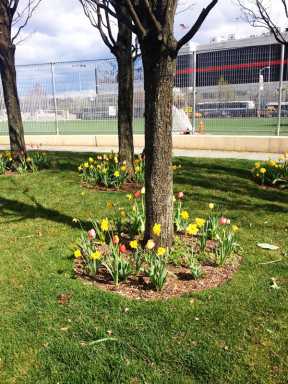 April_30_CWP