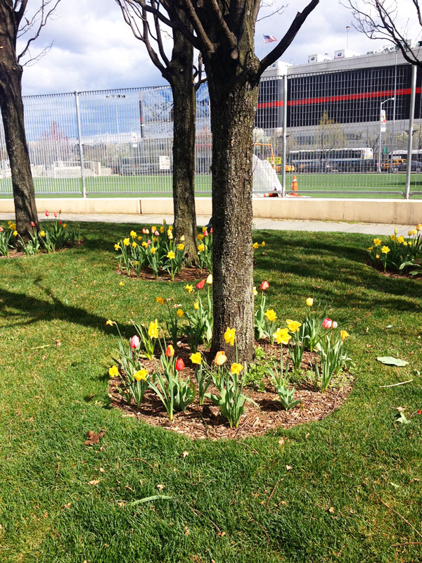 April_30_CWP
