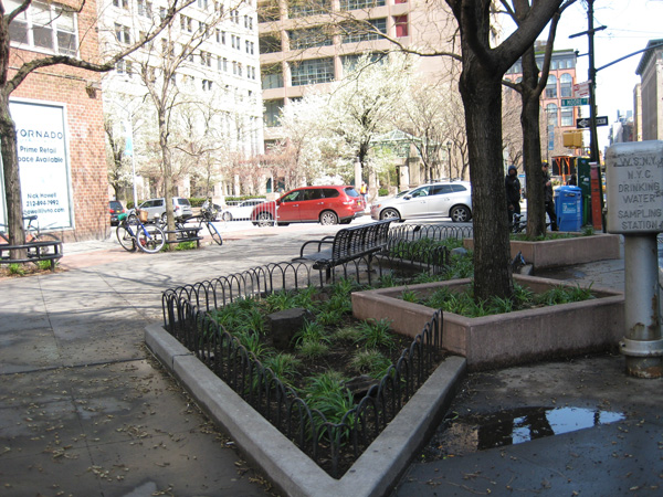 Downtown Express photo by Dusica Sue Malesevic  A city health official said one planter on Greenwich St. is contributing to the rat problem in Tribeca. 