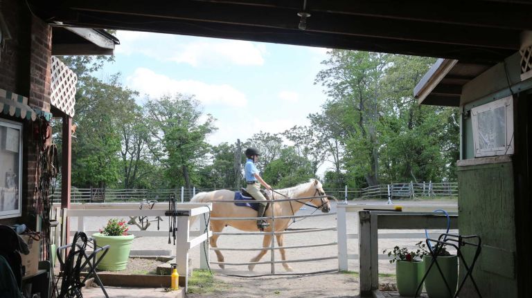 The Seguine Equestrian Center, in Prince's Bay, Staten Island, Friday, May 22, 2015.