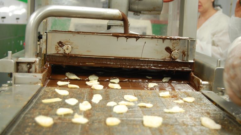 Ginger ready for its chocolate coating. 