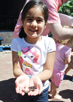 Local kids, like this girl at a worm release, love the Elizabeth St. Garden.