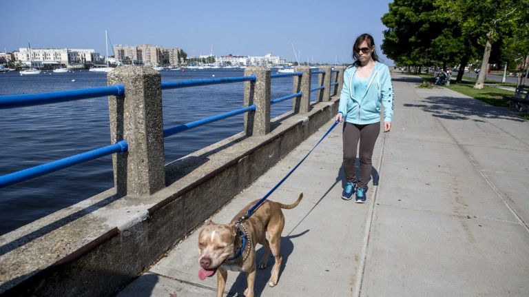 Sharon Weisberg, a Manhattan Beach resident walks her dog Patchey at Shore Boulevard aside Sheepshead Bay on June 8, 2015. ?By Yeong-Ung Yang